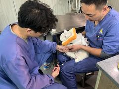 -半岛宠物医院24小时(科华中路店)