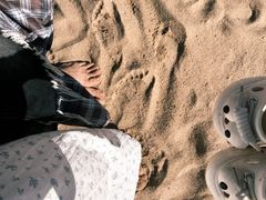 -碧海金沙