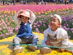 -北陵公园