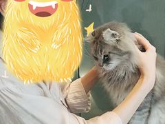 -猫儿山۰猫主题餐厅