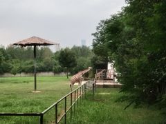-大蜀山国家森林公园