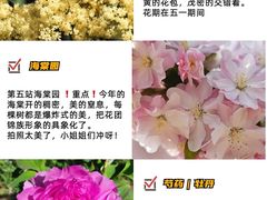 -国家植物园