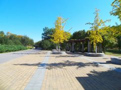 -永定河休闲森林公园