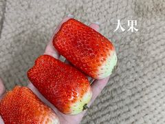 -堤口果品批发市场