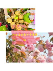 -麦粒鸟亲子游