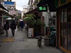 -南丫岛