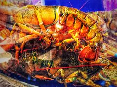 -新海渔港·胶东海鲜家常菜·家宴(奥体中心店)