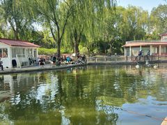 -丰台花园