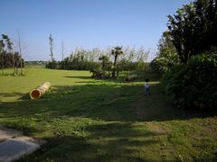 -上海崇明金茂凯悦酒店