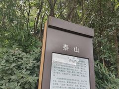 -泰州凤城河风景区-泰山公园