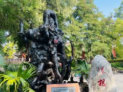 -大槐树寻根祭祖园