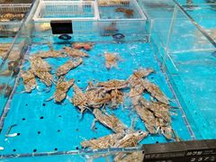 -艳阳天·非遗楚菜(武汉客厅店)