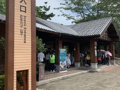 -大湾区中央湿地公园