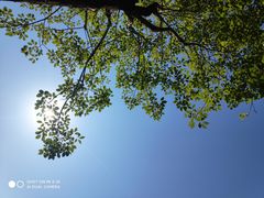 -明谷行馆·温泉