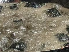 -五娭毑臭豆腐(黄兴南路店)