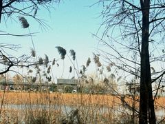 -云龙湖旅游景区