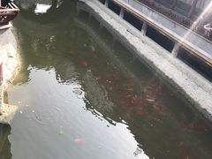 -龙潭水乡