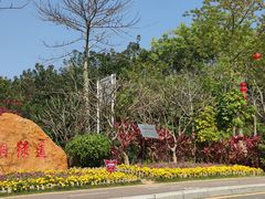 -梧桐山风景名胜区