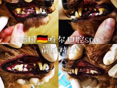-汪小喵宠物·戴维斯乐芳希施宠馨宝皮毛调理洗护店