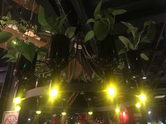 -胡桃里音乐酒馆(白云五号T5 MALL店)