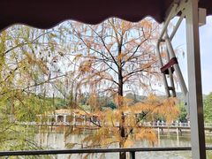 -鹿鸣酒家(越秀店)