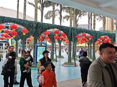 -海合安成都极地海洋公园