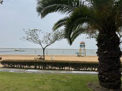-碧海金沙