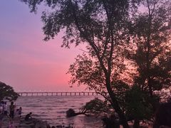 -宝安西湾红树林湿地公园