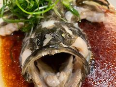 清蒸游水海石斑-南海渔村(珠江新城店)