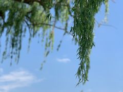 -西昌邛海湿地