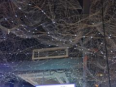 -徐记小怪兽肉蟹煲(中央大街店)