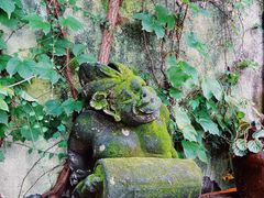 -乌镇景区