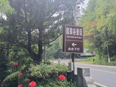 -黄山翡翠谷景区