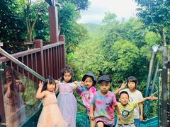 -三亚亚龙湾人间天堂鸟巢度假村