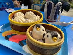 -南宫五洲植物乐园