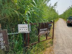 -宁波杭州湾国家湿地公园