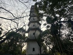 -江心屿景区