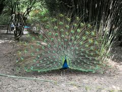 -宁波野生动物园