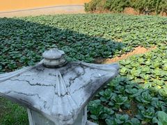 -重元寺香积厨素斋馆