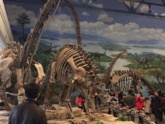 -自贡恐龙博物馆