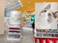 -KKV(深圳宏发大仟里店)