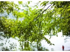 -桐君山春江扬帆码头