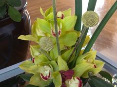 -北京盘古七星酒店