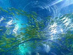 -上海海昌海洋公园-停车场