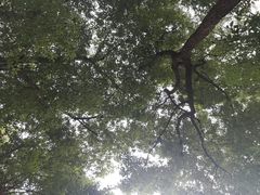 -汇龙潭