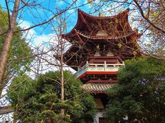 -武汉园博园(武汉自然博物馆)