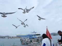 -海驴岛(荣成市)