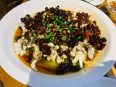 黑鱼花-三猫黑鱼花(南大店)