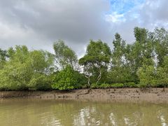 -东寨港红树林旅游区