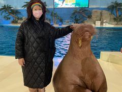 -泉城欧乐堡海洋极地世界